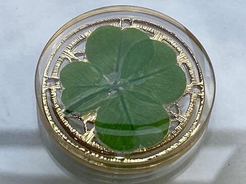 Real Four Leaf Clover Good Luck Pocket Token, Preserved, 1.25", Including Metal Ornament (Dream Catcher) in Saudi Arabia