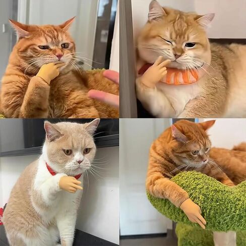 APCGSM 12Pcs Mini Tiny Hands for Cats, Funny Cat Hands for Fingers, Stretchable Little Human Hands Finger Puppet for Cats Paws in Saudi Arabia