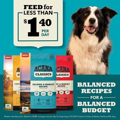 ACANA™ Classics Dog Food Beef & Barley Recipe Dry Dog Food, 22.5lb in Saudi Arabia