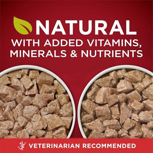 Purina ONE True Instinct Tender Cuts in Gravy with Real Turkey and Venison, and with Real Chicken and Duck High Protein Wet Dog Food Variety Pack - (Pack of 6) 13 Oz. Cans in Kuwait