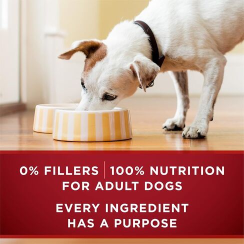 Purina ONE True Instinct Tender Cuts in Gravy with Real Turkey and Venison, and with Real Chicken and Duck High Protein Wet Dog Food Variety Pack - (Pack of 6) 13 Oz. Cans in Kuwait