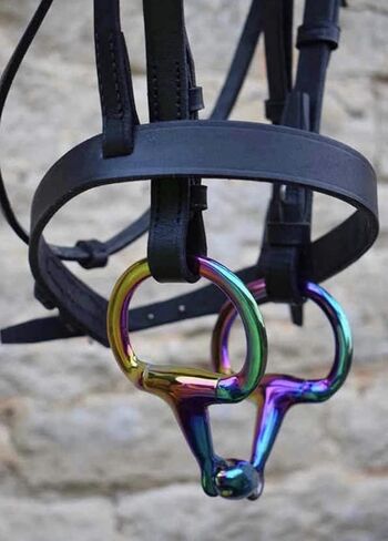 قوس قزح EGGBUTT Snaffle حصان لقمة معينات دهنية مزدوجة المفصل وصلة بيضاوية من الفولاذ المقاوم للصدأ للفروسية (4.75 بوصة) in Kuwait