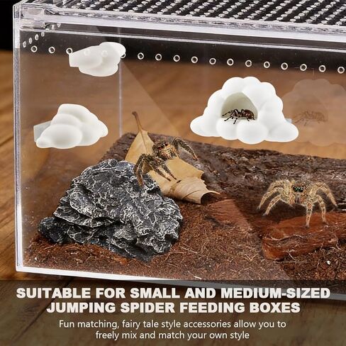 Jumping Spider Accessories Kit, 3Pcs Jumping Spider Styling Platforms with Magnetic Mounting for Climbing, Decorating, Resting and Exploration (Mushroom) in Kuwait