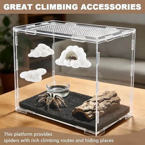 Jumping Spider Accessories Kit, 3Pcs Jumping Spider Styling Platforms with Magnetic Mounting for Climbing, Decorating, Resting and Exploration (Mushroom) in Kuwait
