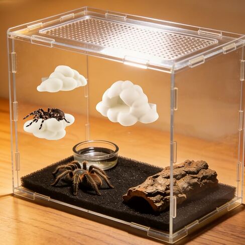 Jumping Spider Accessories Kit, 3Pcs Jumping Spider Styling Platforms with Magnetic Mounting for Climbing, Decorating, Resting and Exploration (Mushroom) in Kuwait