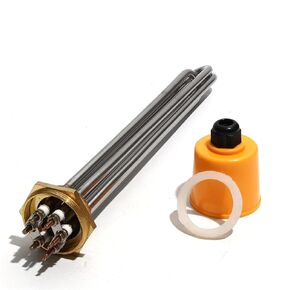 DN32 1 1/4" 1.25" BSPT Thread Electric Heating Element 3KW 190mm Length Tri Clamp Heaters 220V for Water Tank in Saudi Arabia
