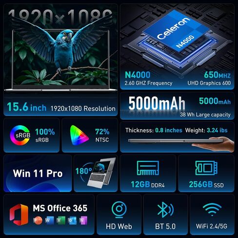 كمبيوتر محمول FHD مقاس 15.6 بوصة، كمبيوتر محمول Win 11 مزود بمعالج Intel ثنائي النواة 4425Y، وذاكرة وصول عشوائي سعتها 16 جيجابايت وذاكرة وصول عشوائي سعتها 256 جيجابايت، وكمبيوتر محمول خفيف الوزن لتعلم الطلاب عبر الإنترنت، والمكتب المنزلي، والأعمال الخفيفة in Kuwait