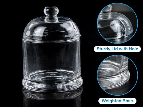 HillSpring Thick Glass Salt Cellar with Stainless Steel Spoon, Clear Container for Kosher, Sea, Himalayan Salt, Sugar, Pepper, Heavyweight Spices Jar, 10 oz (1, Transparent, Medium) in Kuwait
