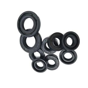 TC-24 * 32 * 34 * 35 * 36 * 38 * 40 * 42 * 43 * 45 * 47 * 48 * 50 * 52 * 4/5/6/7/8/9/10/12 NBR Shaft Oil Seal Nitrile Covered Double Lip With Garter Spring (Size : 24.5x37.93x6 2pcs) in Saudi Arabia