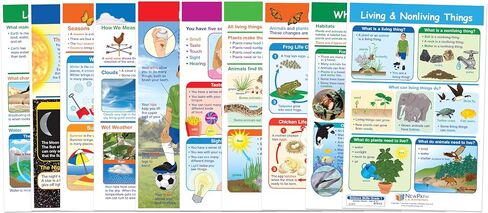 NewPath Learning Grade 1 Science Anchor Charts Set of 10 (12x18") & 25-Page Resource Guide Covering Life Science, Earth Science & Human Body for Classroom & Homeschool Use (94-9910) in Saudi Arabia
