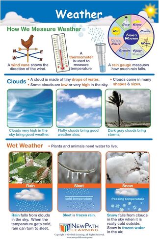 NewPath Learning Grade 1 Science Anchor Charts Set of 10 (12x18") & 25-Page Resource Guide Covering Life Science, Earth Science & Human Body for Classroom & Homeschool Use (94-9910) in Saudi Arabia