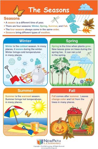 NewPath Learning Grade 1 Science Anchor Charts Set of 10 (12x18") & 25-Page Resource Guide Covering Life Science, Earth Science & Human Body for Classroom & Homeschool Use (94-9910) in Saudi Arabia