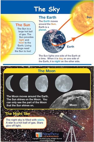 NewPath Learning Grade 1 Science Anchor Charts Set of 10 (12x18") & 25-Page Resource Guide Covering Life Science, Earth Science & Human Body for Classroom & Homeschool Use (94-9910) in Saudi Arabia