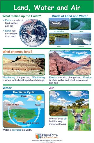 NewPath Learning Grade 1 Science Anchor Charts Set of 10 (12x18") & 25-Page Resource Guide Covering Life Science, Earth Science & Human Body for Classroom & Homeschool Use (94-9910) in Saudi Arabia