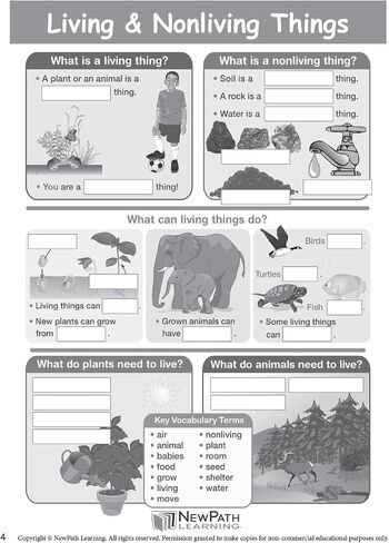 NewPath Learning Grade 1 Science Anchor Charts Set of 10 (12x18") & 25-Page Resource Guide Covering Life Science, Earth Science & Human Body for Classroom & Homeschool Use (94-9910) in Saudi Arabia