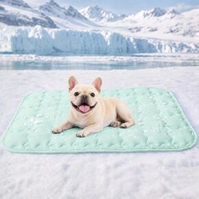 Luciphia Premium Dog Cooling Mat Non-Slip Q-MAX>0.5 Self-Cooling Pad for Small Pet Cat Indoor Portable Kennel Puppy Bed for Summer Crate Pad for Dog Washable Light Blue 20x30 inches in Kuwait