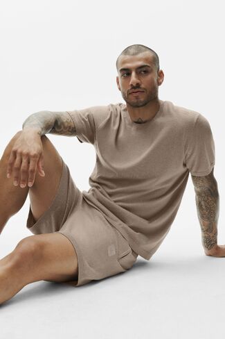 Alo Yoga Cotton Cashmere Ever Soft Short Sleeve Crew - Gravel in Saudi Arabia