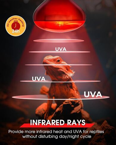 EvaStary لمبة الحرارة الزواحف، 100W محاكاة ضوء النهار الطبيعي الزواحف المصابيح بقعة ضوء، UVA لمبات مصباح الحرارة الزواحف للزواحف، التنين الملتحي، السحلية، البرمائيات، السلحفاة، الأفعى، الدجاج، 2pack in Kuwait