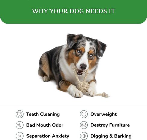 Natural Hemp Dog Rope Toy, Durable Chew and Tug Toy for Medium and Large Dogs, Biodegradable Dental Cleaning Pet Toy (Loop Ball) in Saudi Arabia