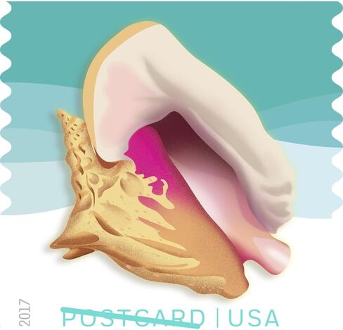 Seashells Postcard Stamps, Sheet of 20 in Saudi Arabia