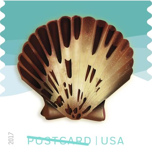 Seashells Postcard Stamps, Sheet of 20 in Saudi Arabia