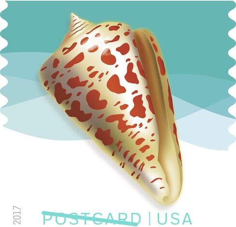 Seashells Postcard Stamps, Sheet of 20 in Saudi Arabia