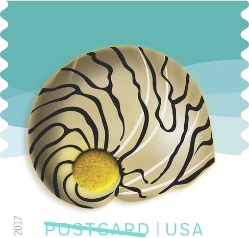 Seashells Postcard Stamps, Sheet of 20 in Saudi Arabia