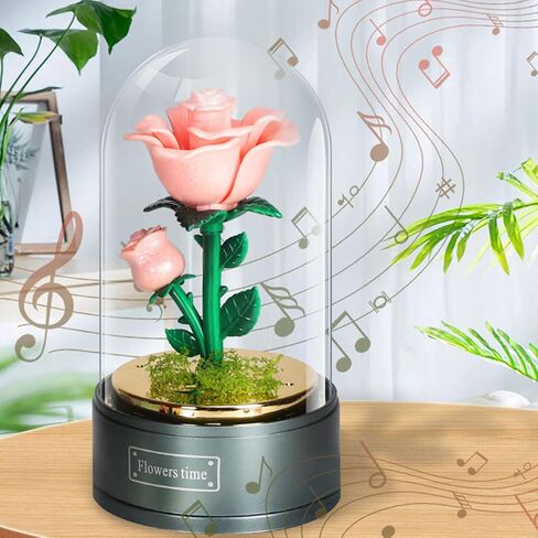 صندوق موسيقي من Sweet Time Beauty and The Beast Rose، وردة حمراء مضيئة في قبة زجاجية، هدية صندوق موسيقى لصديقتك والزوجة والأم وعيد الحب وعيد الأم وعيد الميلاد in Kuwait