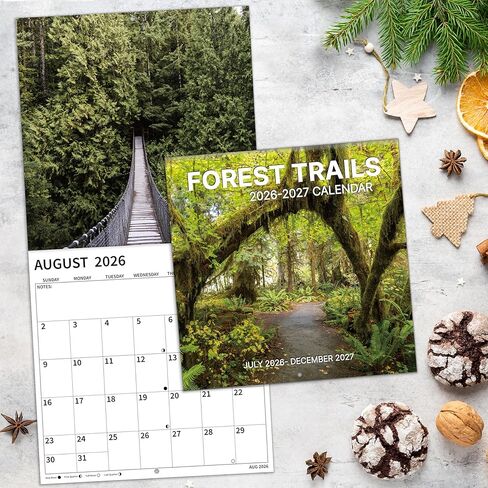 2026 Wall Calendar, 2026 Pathways Calendar, 12 Months from Jan 2026 - Dec 2026, 12" x 24" Open, Thick Paper, Hanging Holes, Large Blocks, Moon Phases, Holidays, Gifts for Planning or Organizing in Saudi Arabia