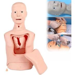 Intubation Gastric Tube Model Training Manikin Advanced Nasogastric Tube and Trachea Care Model Gastric Lavage Tracheostomy Model in Kuwait