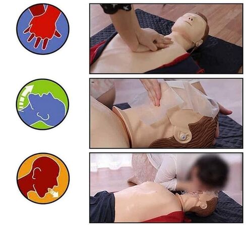 Professional Adult CPR Training Manikin, Full Body Kit for Medical Teaching Supplies in Kuwait
