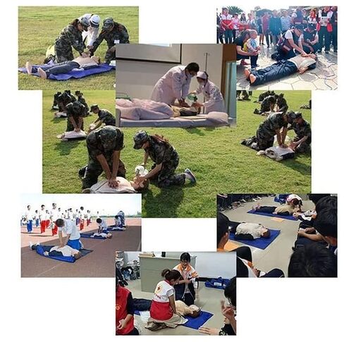 Professional Adult CPR Training Manikin, Full Body Kit for Medical Teaching Supplies in Kuwait