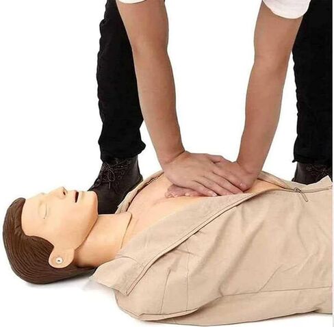 عارضة أزياء CPR، تدريب كامل الجسم للبالغين، لمستلزمات التدريس الطبي in Kuwait