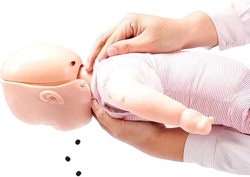 Infant First Aid Training Model,Infant CPR Manikin,Cardiopulmonary Resuscitation Simulator First Aid Training Dummy for Teaching Training in Kuwait
