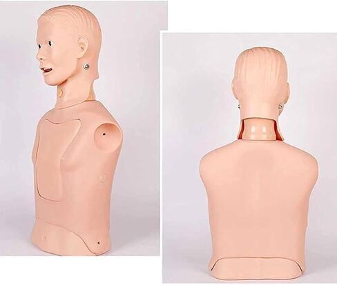 Multifunctional Tube and tracheal Care Training Manikin, Advanced nasogastric Model, Suitable for Scientific Education/Learning/Practice in Kuwait