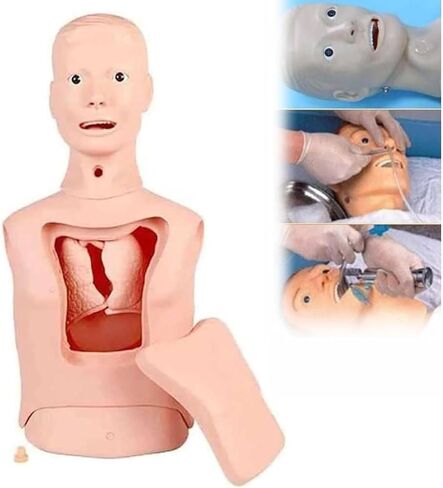 Multifunctional Tube and tracheal Care Training Manikin, Advanced nasogastric Model, Suitable for Scientific Education/Learning/Practice in Kuwait