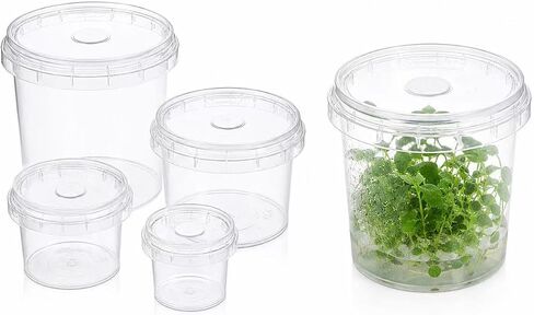 750ml PP Plant Tissue Culture Container with 2cm Filter Patch, Polypropylene Wide Mouth Container for Plant Propagation, Autoclave Ready up to 121°C, 110 × 95mm, 10 Pack in Kuwait