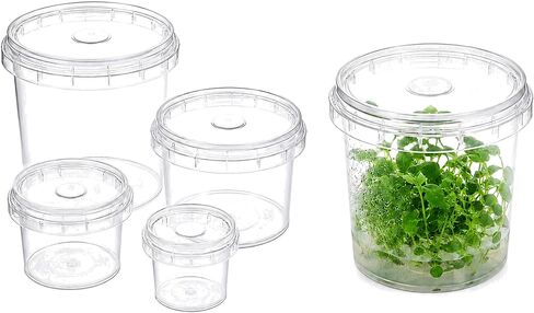 750ml PP Plant Tissue Culture Container with 2cm Filter Patch, Polypropylene Wide Mouth Container for Plant Propagation, Autoclave Ready up to 121°C, 110 × 95mm, 10 Pack in Kuwait