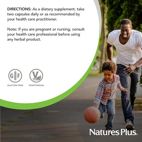 NaturesPlus Herbal Actives InflamActin - 60 Vegetarian Capsules - Herbal Supplement with Turmeric & Bromelain - Supports Adaptogenic Function - Vegan, Gluten-Free - 30 Servings in Saudi Arabia