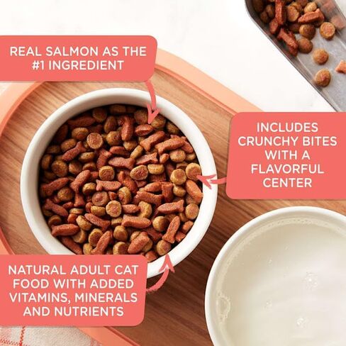 راشيل راي نوتريش لدغات لذيذة مع سمك السلمون والخضار وصفة طعام جاف للقطط، 2.5 رطل. in Kuwait