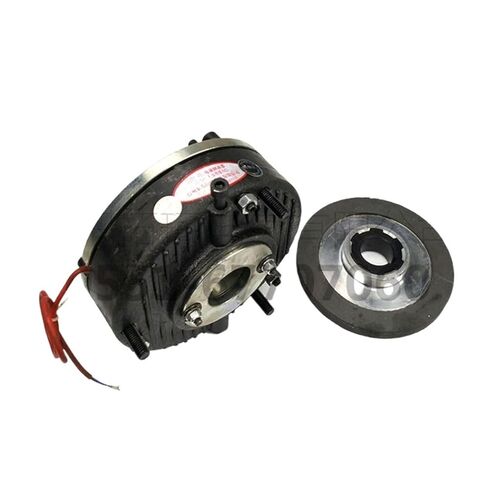 DZM45 DC170V 45Nm Electromagnetic Brake F-Class Insulation Taili YEJ112 Motor Brake in Saudi Arabia