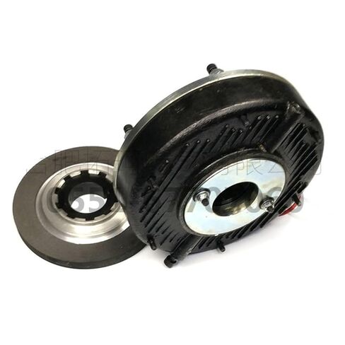DZM200 electromagnetic Brake DC170V 200Nm Class F Insulation Taili YEJ180 Motor Brake in Kuwait