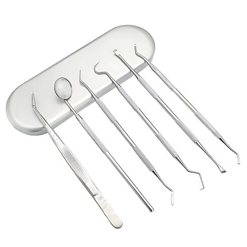 6 Pcs Dental Tool Kit, Stainless Steel Tartar Scraper and Plaque Remover, Oral Hygiene Set for Chipped Tooth Care, At-Home Examination Instruments with Storage Tray in Kuwait