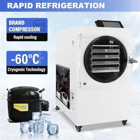 Commercial Freeze Dryer Machine, Low Temperature Vacuum Drying with Rotary Pump, Ideal for Preserving Food, Vegetables, Fruits, and Meat in Kuwait