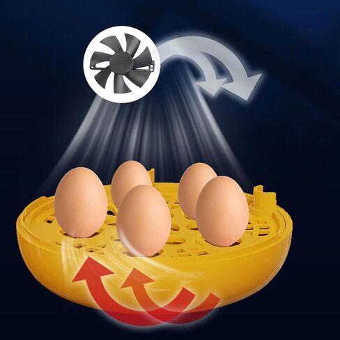 Mini Egg Incubator - Chicken and Duck Egg Incubator, Duck Eggs Hatching Incubators, Intelligent Temperature Control | Automatic Portable Candler for Ducks Quail Hatcher Brooder Turkey Poultry Reptile in Kuwait