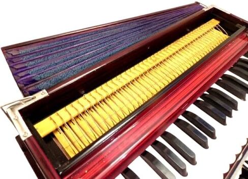 Portable Folding Harmonium, 9 Stops, Rosewood Color, 3 1/2 Octave, Coupler, Bag, Tuned To A440 in Kuwait
