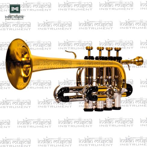 Piccolo Trumpet with 4 Smooth Valves Bb Pitch Brass Mouthpiece and Carry Case for Students, Beginners and Intermediate (SILVER GOLD BRASS) in Saudi Arabia