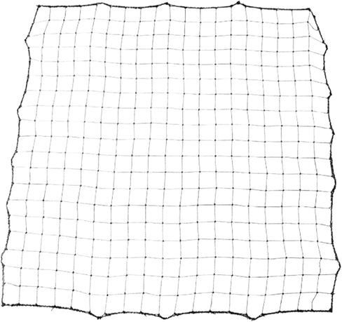 Baseball Softball Backstop Net Portable for Fielding Barrier Netting Batting in Kuwait