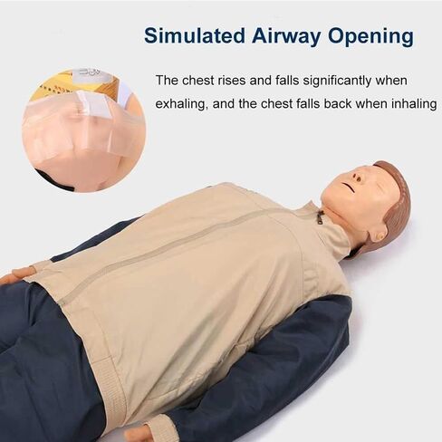 مجموعة تدريب دمية عرض CPR، مجموعة عارضة أزياء لتدريب البالغين لكامل الجسم، نموذج تدريب ضغط الصدر، دمية إنعاش الإسعافات الأولية للفصل الدراسي أو مركز الأبحاث in Kuwait