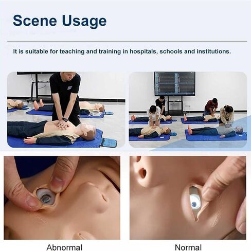 مجموعة تدريب دمية عرض CPR، مجموعة عارضة أزياء لتدريب البالغين لكامل الجسم، نموذج تدريب ضغط الصدر، دمية إنعاش الإسعافات الأولية للفصل الدراسي أو مركز الأبحاث in Kuwait